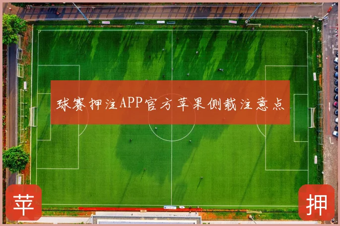 球赛押注APP官方苹果侧载注意点